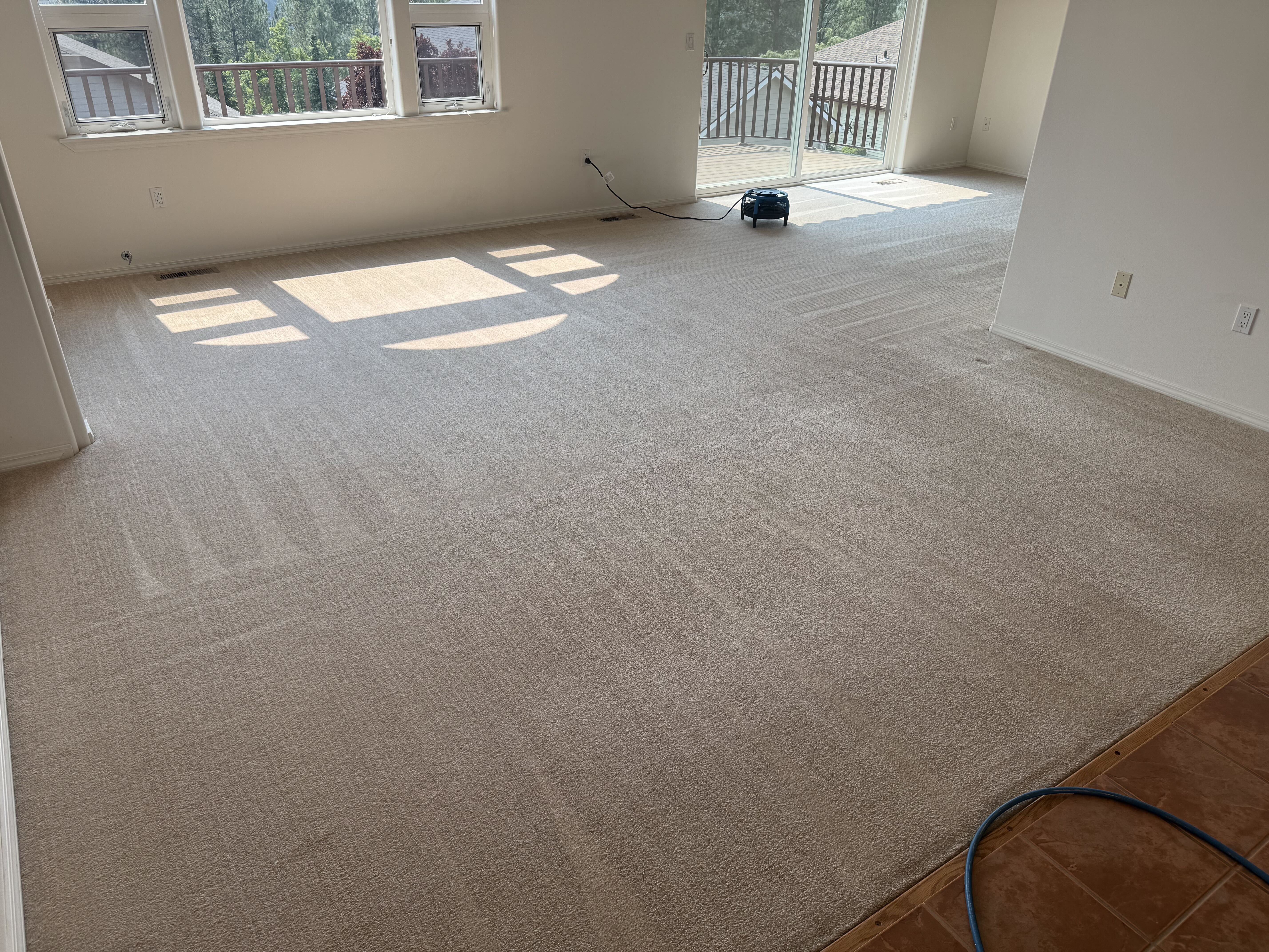 Home Living Room Carpet Cleaning — After